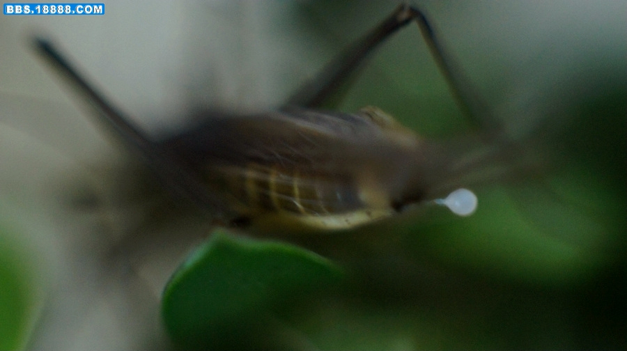 DSC03978.JPG