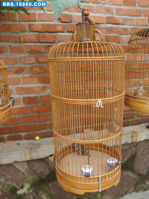 DSC03398.JPG