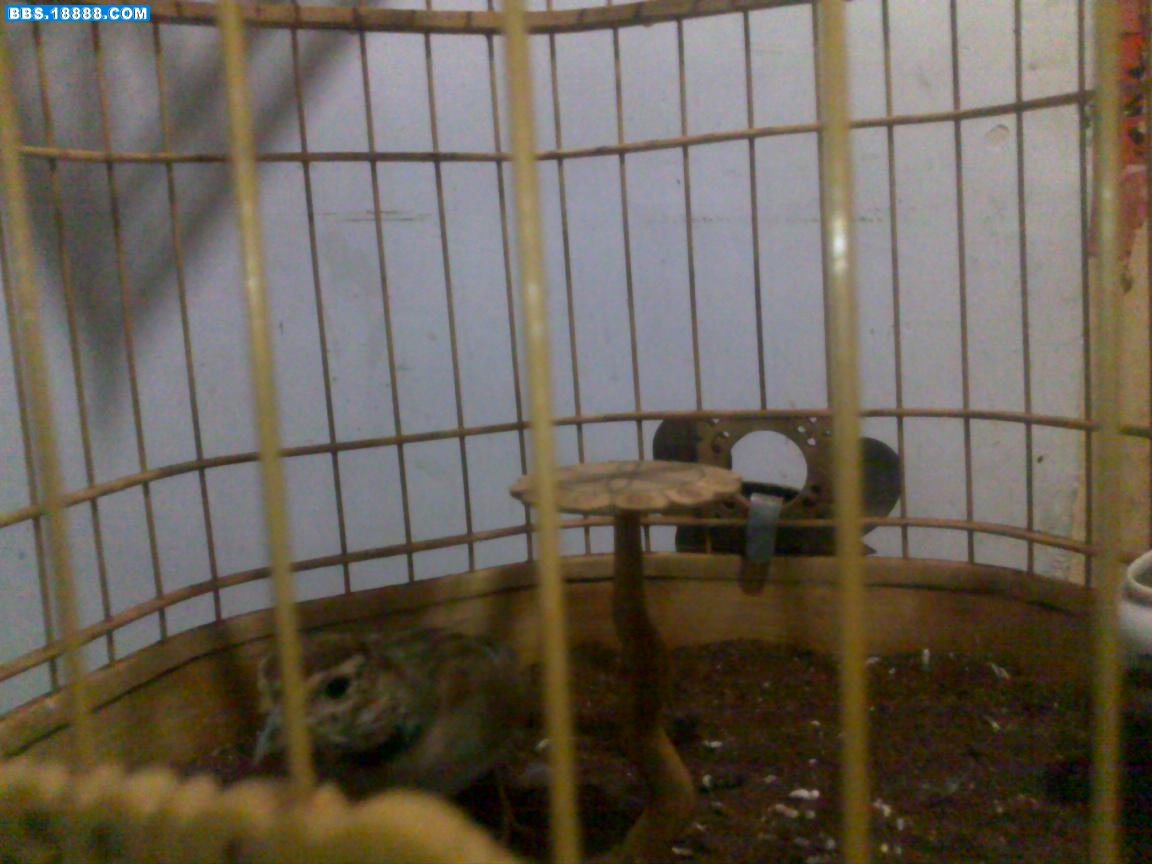 20100823046.jpg