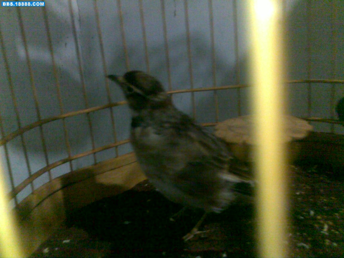 20100823011.jpg