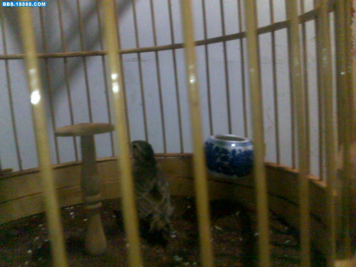 20100823050.jpg
