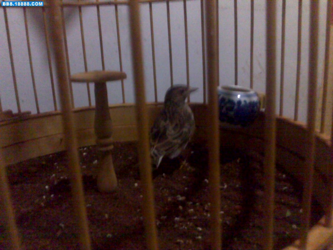 20100823052.jpg