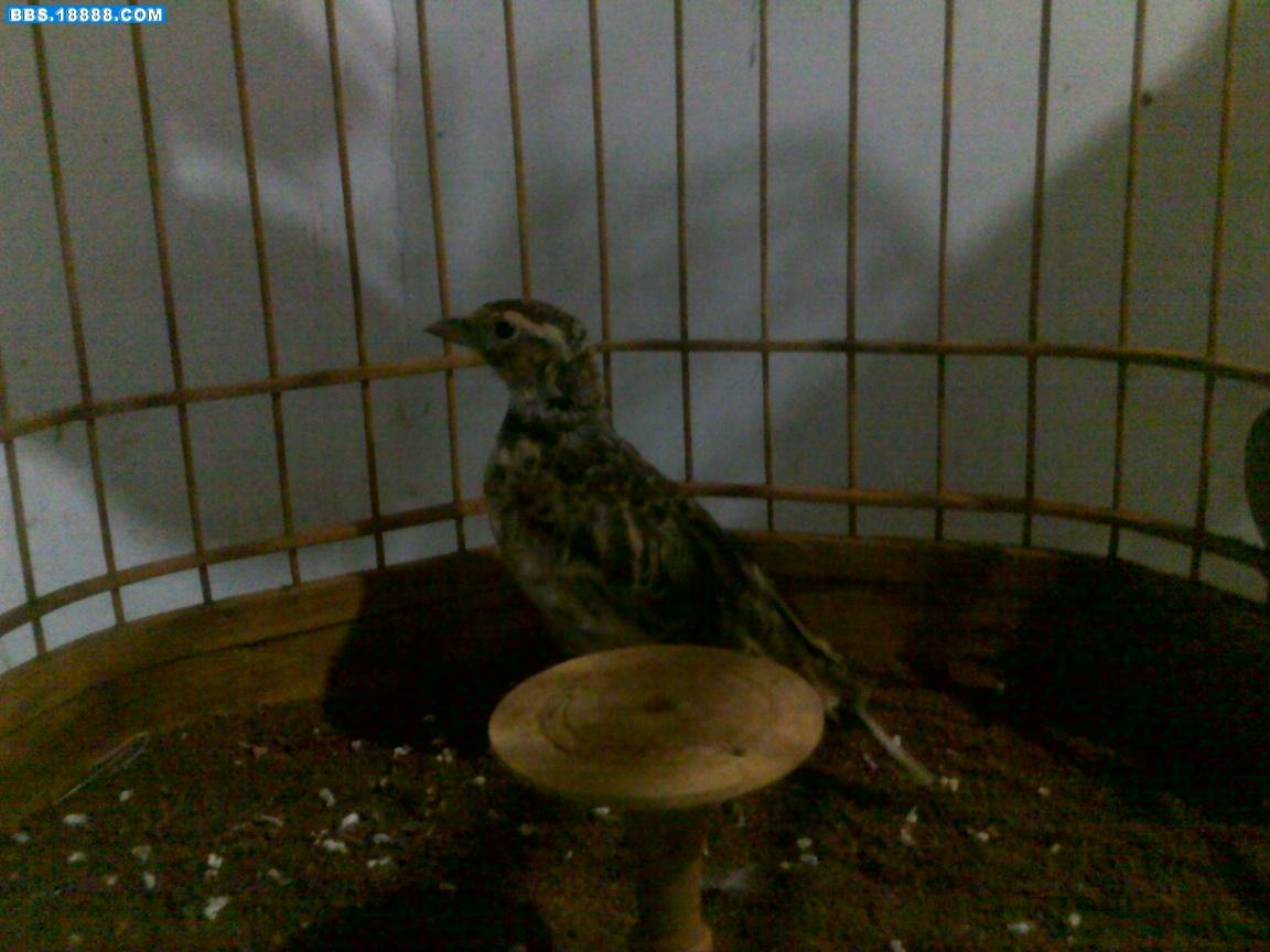 20100823018.jpg
