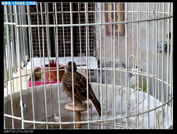 201007231832.jpg