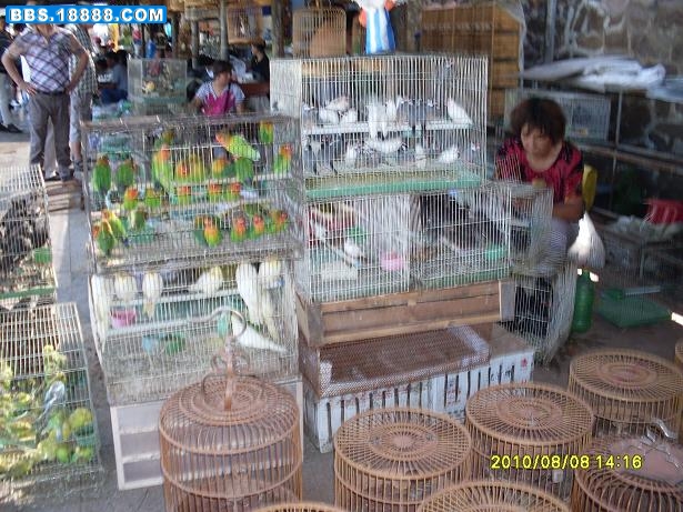 SDC16692.JPG