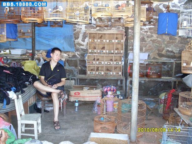 SDC16687.JPG