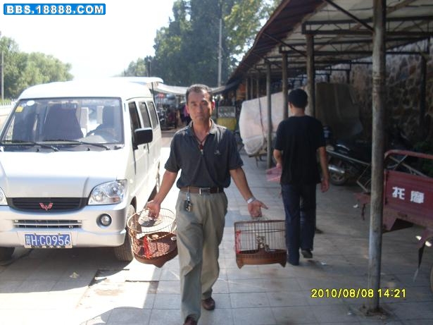SDC16705.JPG