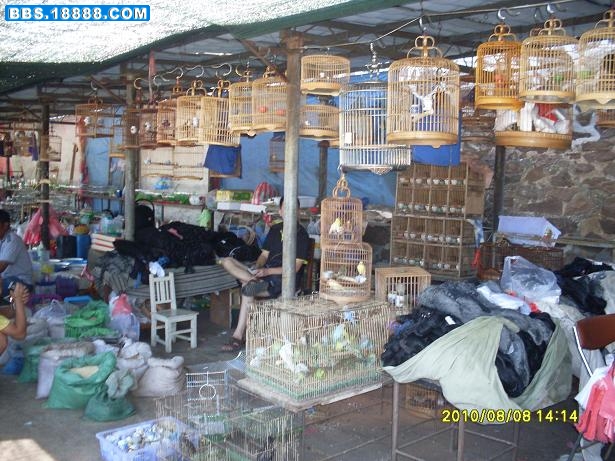 SDC16688.JPG