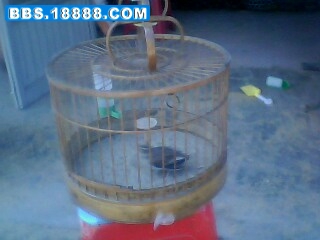 IMG0043A.jpg