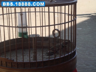 DSC09616_调整大小.JPG