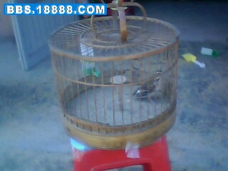 IMG0040A.jpg