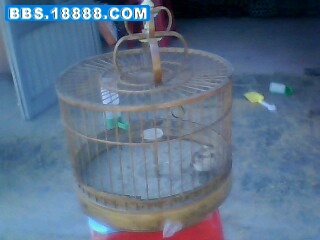 IMG0045A.jpg