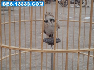 DSC09664_调整大小.jpg