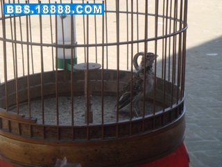 DSC09623_调整大小.JPG