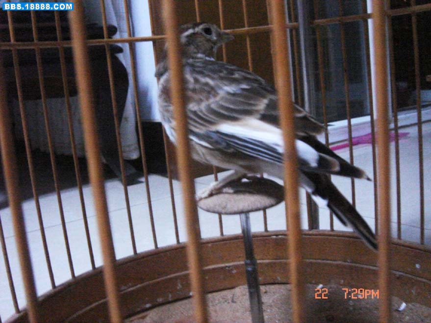 DSC05213.JPG