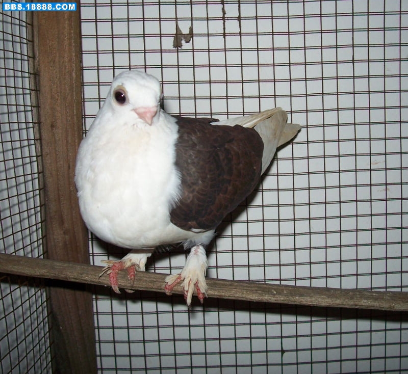 20100823 100.jpg