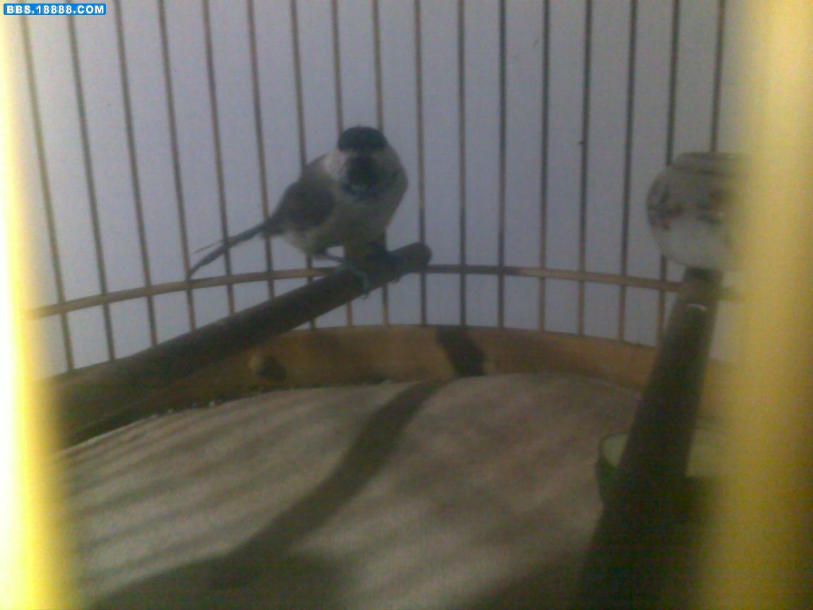 20100829080.jpg