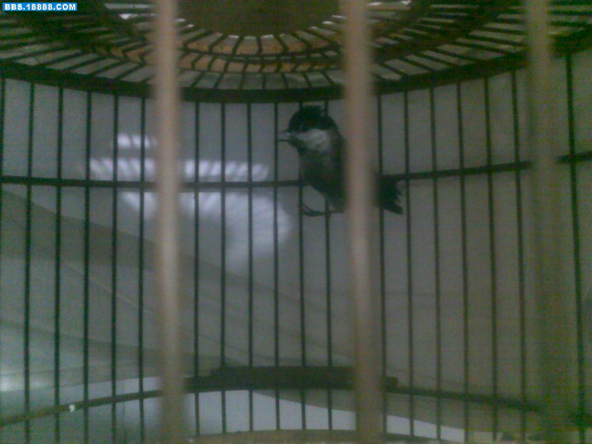 20100829082.jpg