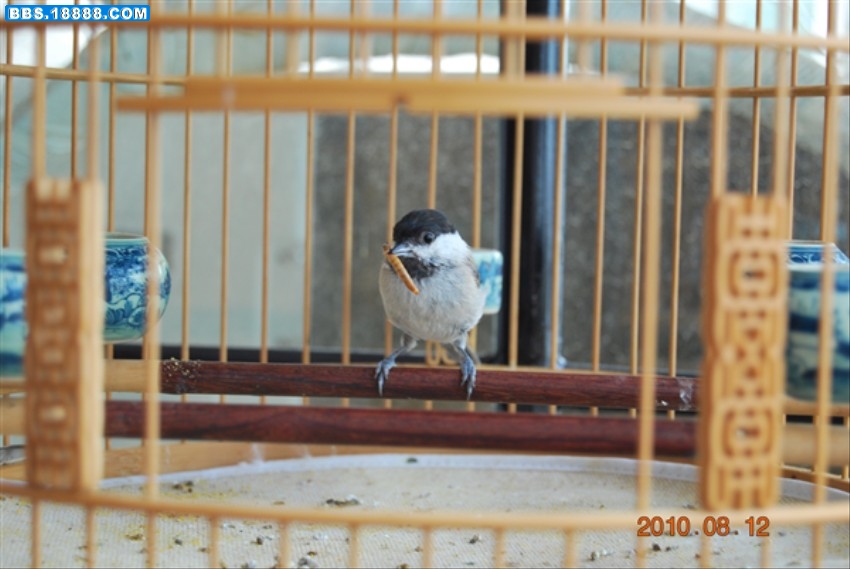 dsc_0572_副本.jpg