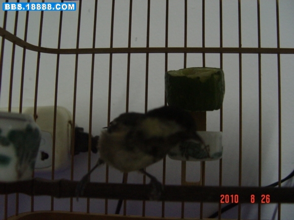 DSC03710.JPG