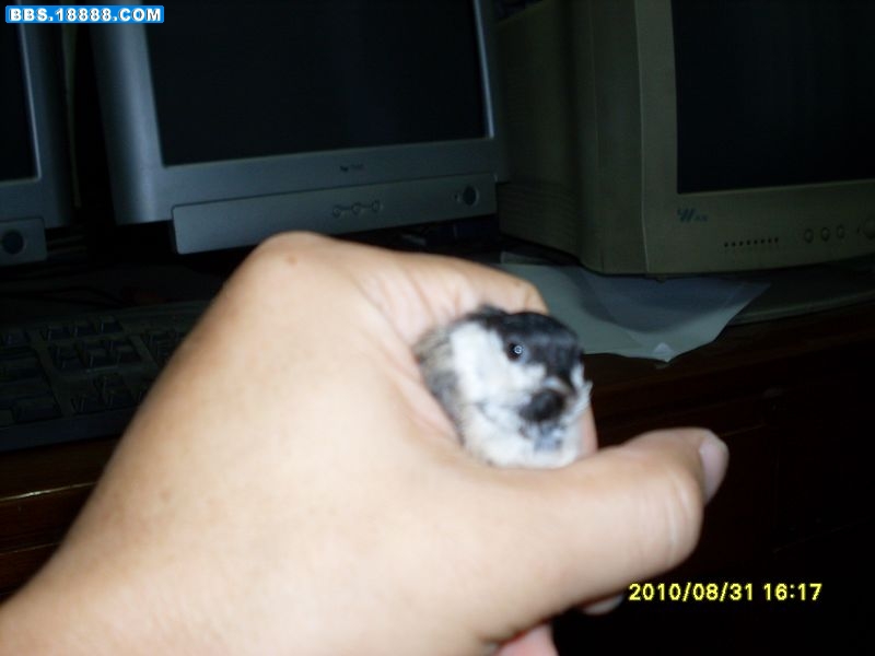SDC12012.JPG