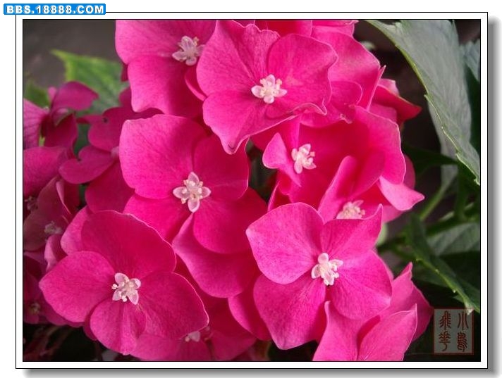 DSCF4237.jpg