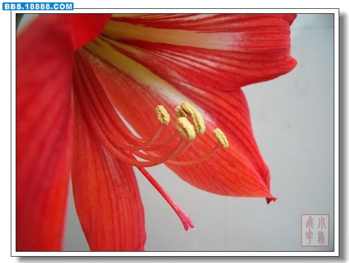 DSCF4139.jpg