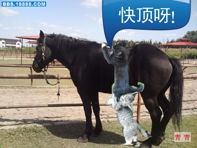 34_169683_1cae22d830ac09d_副本_副本.jpg