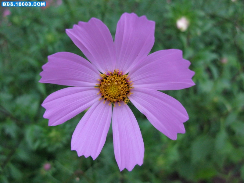 照片 254_缩小大小.jpg
