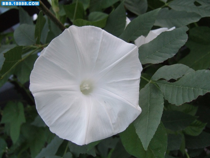 images022.jpg
