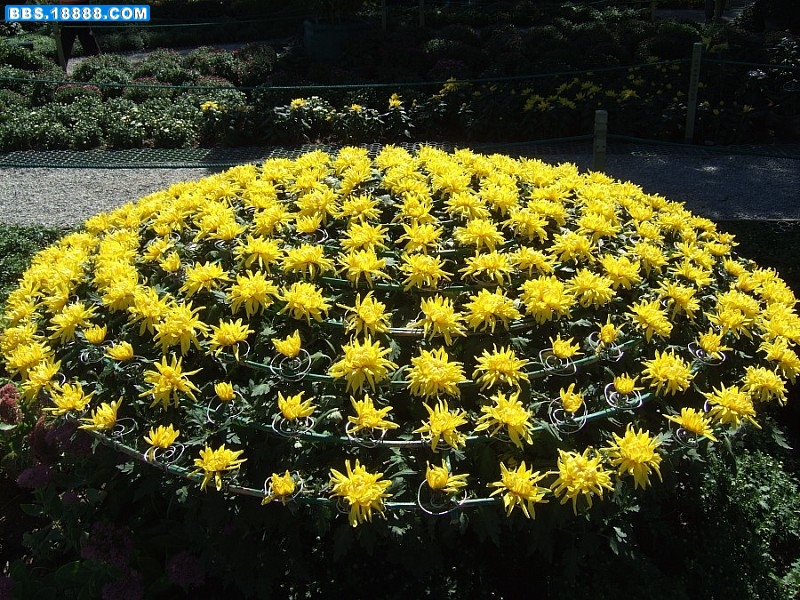 img002.jpg