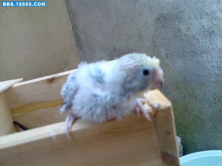 2010.09.19014.jpg