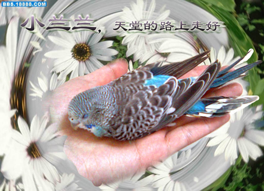 9abc2fdeb282875362279824副本.jpg