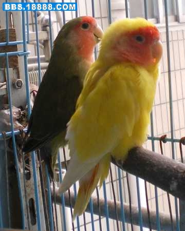 IMGP6839.JPG