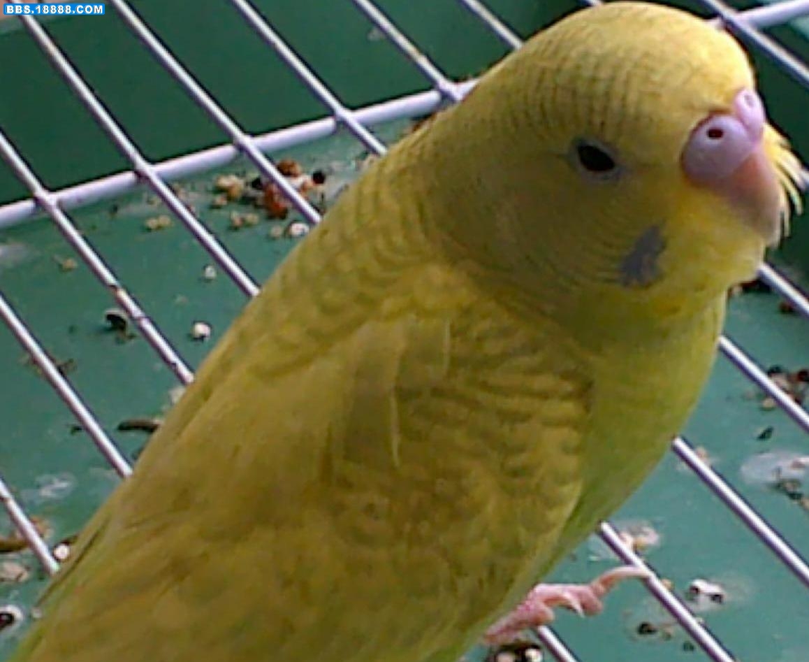 20100913041.jpg