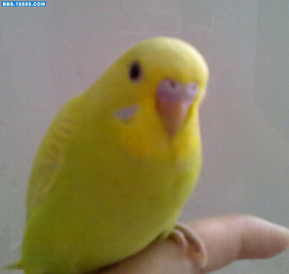 20100923243.jpg