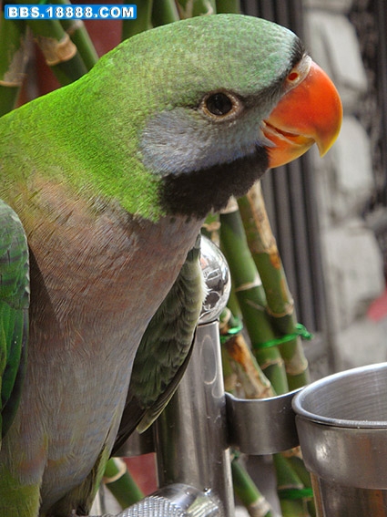 DSC01793.jpg