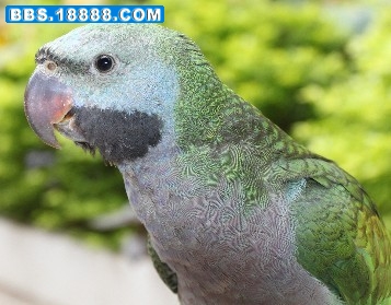 2010年9月25日的小小.jpg