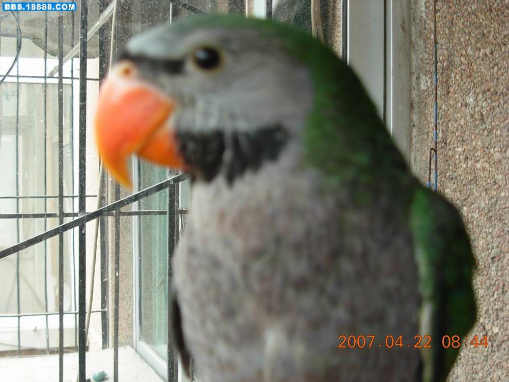 DSCN0288.JPG