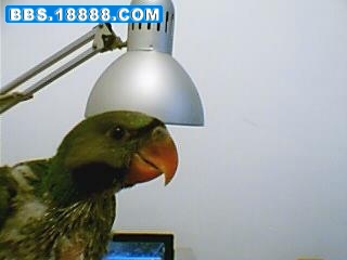 222_263728_d13d4f062ba58ac.jpg