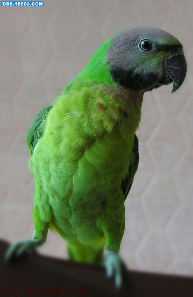 DSCN2442.jpg