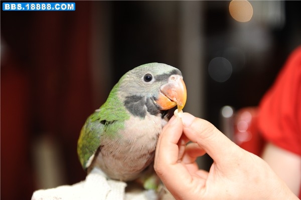 DSC_3794.jpg