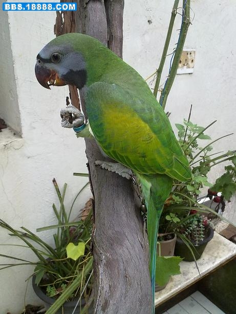 20100908141.jpg