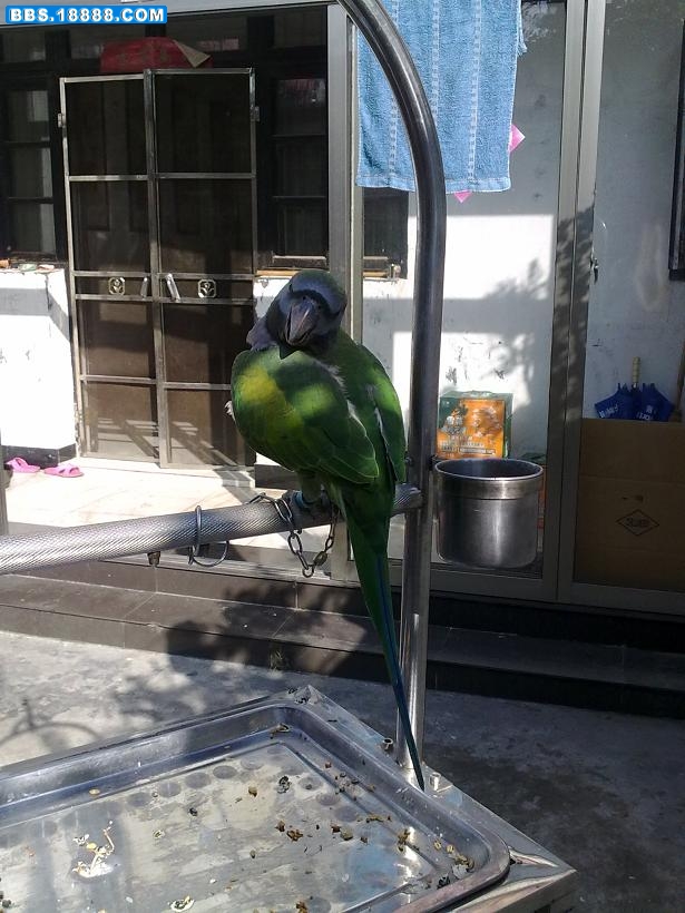 20100921149.jpg
