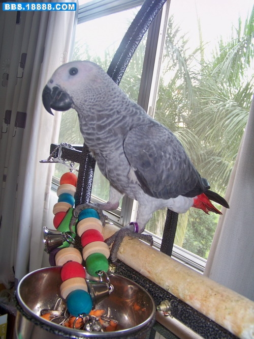 100_4539.jpg