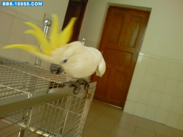 PIC-0011.jpg