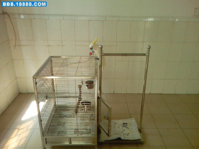 PIC-0006.jpg