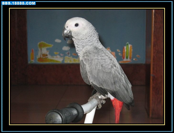 7.JPG