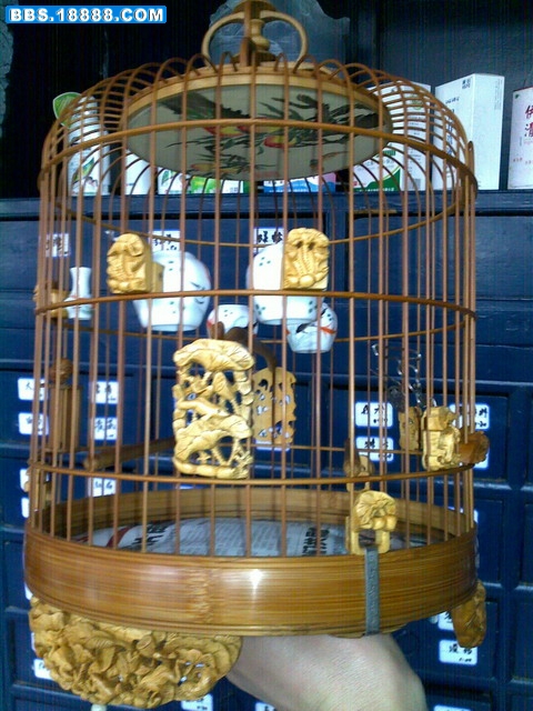 20100402174.jpg
