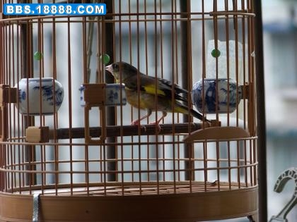 100_6826_conew1.jpg